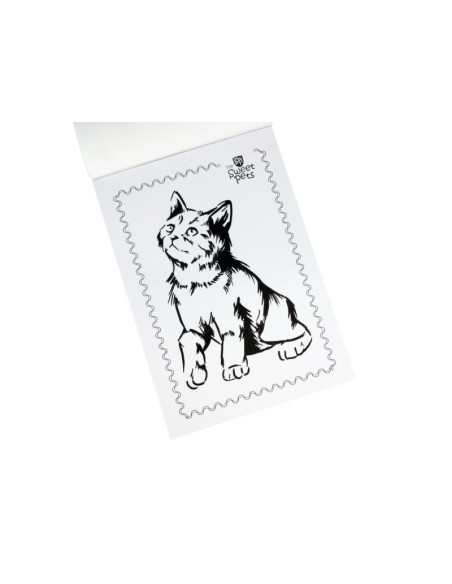 Blok rysunkowy biały A4 / 20 kartek z pierwszą stroną do kolorowania - kot The Pets