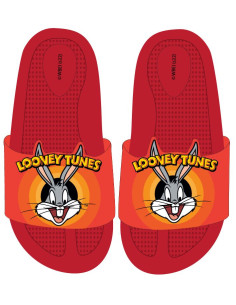 Klapki Zwariowane Melodie 29-30