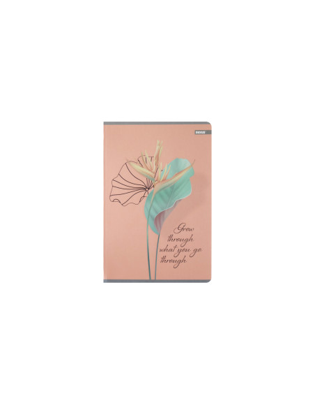 Zeszyt w linie A5/80k