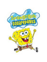 Sponge bob